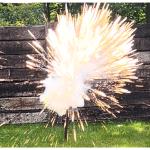 Firebird 65 BIO Detonating Targets - 10 Pack