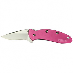 Kershaw 1600PINK Chive 1.90" Drop Point Plain Bead Blasted 420HC Steel Pink Anodized Aluminum Handle Folding