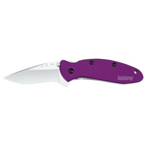 Kershaw 1620PUR Scallion 2.40" Drop Point Plain 420 Stainless Steel Purple Anodized Aluminum Handle Folding