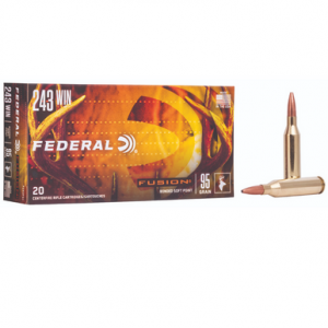 F243FS1 Ammo