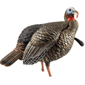 Avian X HDR Jake Turkey Decoy - AVXAVX8105