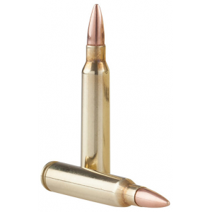 PPRM5561P Ammo