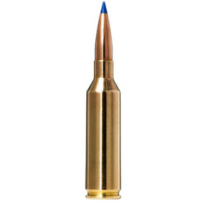 20 Rounds - 20166452 Ammo