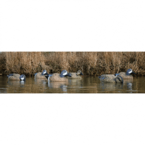 Higdon Outdoors Standard Blue Wing Teal, Multi Color Foam Filled 6 Pack - 19953