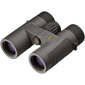 Leupold 172660 BX-4 Pro Guide HD 10x32mm Roof Prism Shadow Gray Armor Coated