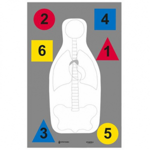Action Target DTANTQA100 Muli-Purpose Anatomy and Command Silhouette Paper Target 23" x 35" 100 Per Box