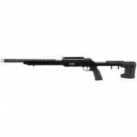 Savage Arms 47256 A22 Precision Lite Semi-Auto 22 LR Rifle