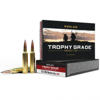 Nosler Trophy Grade Long-Range 6.5x284 Norma 129 gr Spitzer AccuBond Long Range - 60128