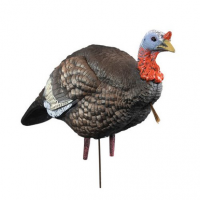 Higdon Outdoors 63144 Hard Body 1/4 Strut Jake Turkey Jake Species Multi Color