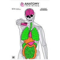 Action Target GSANATOMY100 Anatomy Training Target Silhouette/Vitals Paper Target 23" x 35" 100 Per Box