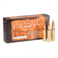 HSM 3082N Match 308 Win 168 gr Sierra MatchKing BTHP 20 Per Box