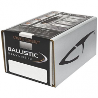 Nosler 51040 Ballistic Silvertip 6mm .243 95 GR Spitzer Point 50 Box