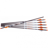 Ravin Crossbows R139 Arrows 400GR .001" 6 Pack