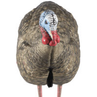 Avian X LCD Half-Strut Jake Turkey Species - AVXAVX8012