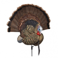 Avian X AVXAVX8021 Trophy Tom Turkey Species Multi Color