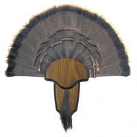 Hunters Specialties 00849 Turkey Tail/Beard Mount