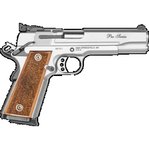 SMITH & Wesson 1911 Pc 9mm 5in 10rd Matte Stainless