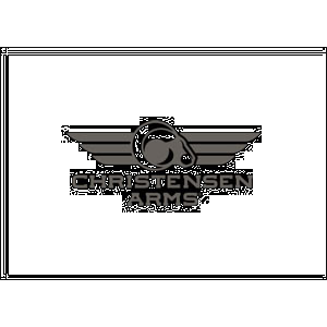 CHRIS Mpr Rimfire 17hmr 20 Tungsten 9rd