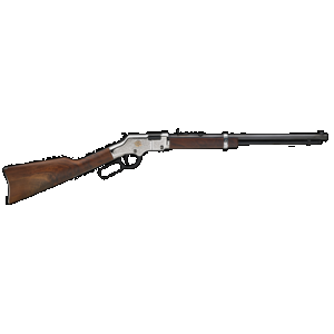 Henry H004AB Golden Boy 22 Short 22 Long 22 LR 20" 16 Rounds Nickel-Plated Finish