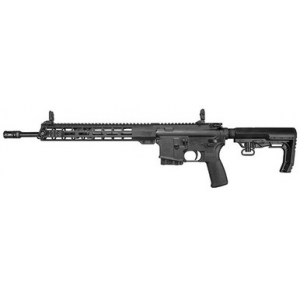 WW R16SLSFSM-CA 223/556 CA10RD