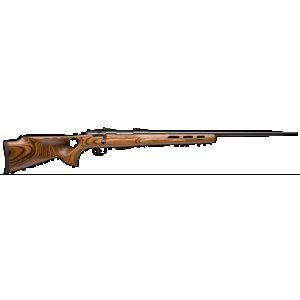 Savage Model 25 Lightweight Varminter-T Rifle 222 Rem 24 in Wood Laminate