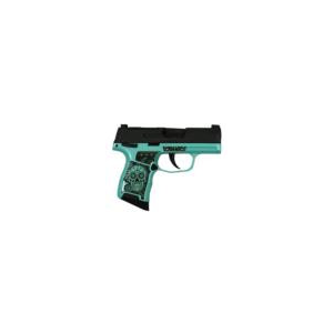 Sig Sauer P365 9mm 3.1in 10rd Stainless/Custom - 365-9-BXR3P-MS MODSKTFG