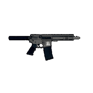 Great Lakes Firearms GL15223SSPTNG AR-15 Pistol 223 Wylde 30+1 7.50" Stainless Barrel, Tungsten Rec, 7" M-LOK Handguard, Buffer Tube (No Brace), Black A2 Grip