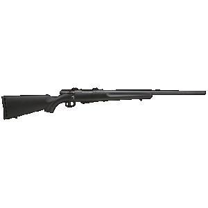 Savage Model 25 Walking Varminter 204 Ruger 22 inch 4 Round Detachable Magazine Matte Finish