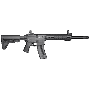 Smith & Wesson M&P15-22 Sport 22 LR 16.50in 25rd