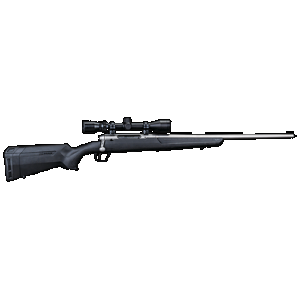 SAVAGE Axis Xp 400 Legend 22 In. Stainless Rifle With Scope