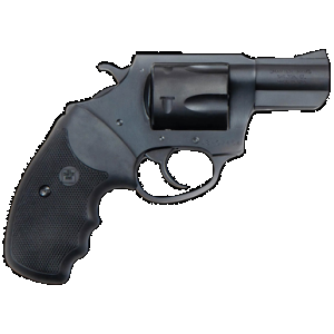 Charter Arms Professional II 357 Magnum 3 Inch 6 Rounds Nitride Stainless Steel Frame