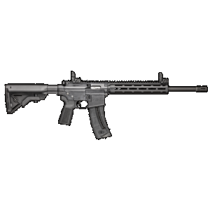 SMITH & Wesson M&p15-22 Sport 22 Lr 16.5in 25rd