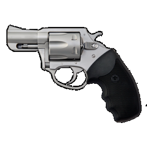 CHARTER Arms 74020 Pitbull Large 40 S&w 5 Shot 2.30" Matte Stainless Steel Barrel, Cylinder & Frame W/black Finger Grooved Rubber Grip