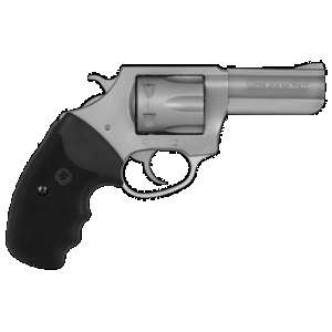 Charter Arms Pit Bull 380 ACP 3 in. 6 Shot Stainless Steel Silver