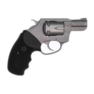 Charter Arms Pathfinder 22 LR 2 in 8 Rounds Stainless