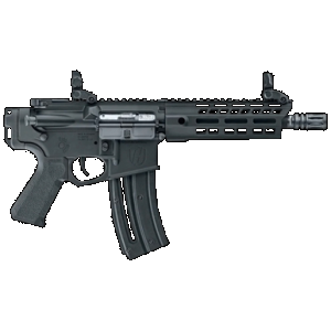 Hammerli Arms 5760507 Tac R1 C 22 LR 20+1 9" Threaded, Black, No Brace, Aluminum Upper & Lower Receivers, Textured Grip, Flip Up Front/Rear Sights
