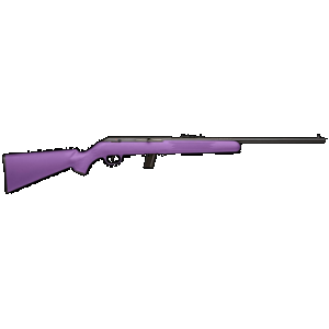 SAVAGE 64 F 22 Lr 21in 10rd Blued