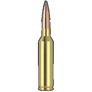 NOSLER Trophy Grade Long Range Rifle Ammunition 7mm Prc 175 Gr. Ablr Sp 20 Rd.