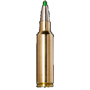 NORMA Ammunition 20177512 Ecostrike 300wsm 165gr 20 Rounds