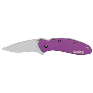 KEN ONION SCALLION PURPLE