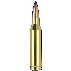 NOSLER Ballistic Tip Rifle Ammunition 243 Win 70 Gr. Sp 20 Rd.