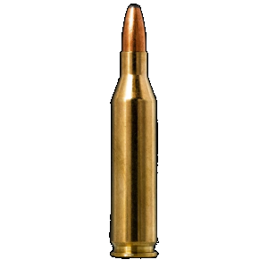 NORMA Ammunition 20160332 Oryx 243win 100gr 20 Rounds