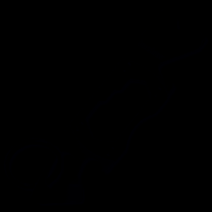 Pt-2