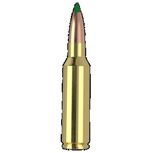 NOSLER Ballistic Tip Rifle Ammunition 300 Wsm 165 Gr. Bt Sp 20 Rd.