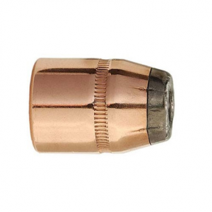 Sierra 8820 Sports Master 45Cal 24gr Jacketed Hollow Cavity 100/Box