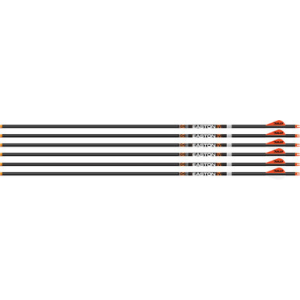 Easton 6.5 Hunter Classic Arrows 300 2 in. Bully Vanes 6 pk.