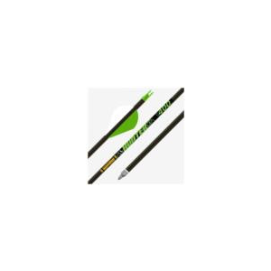 Gold Tip Hunter XT Arrows 500 Raptor Vanes 6 pk.