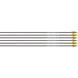 Easton Sonic 6.0 Arrows Factory Helical 300 6 pk.
