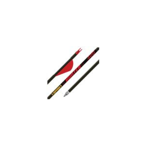 Gold Tip Hunter Arrows 300 Raptor Vanes 6 pk.