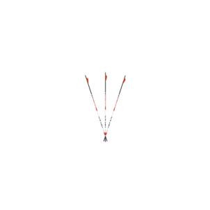 Carbon Express Maxima Triad XSD Arrows 300 2 in. Vanes 6 pk.